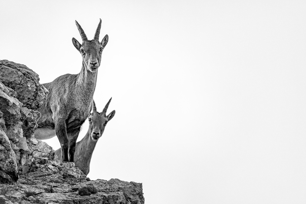 Platz 3 Robert Seitz